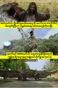 Attack of the Meth Gator