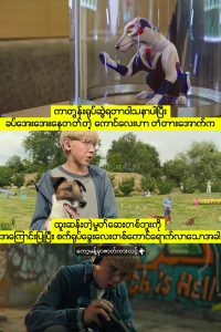 Foxter and Max